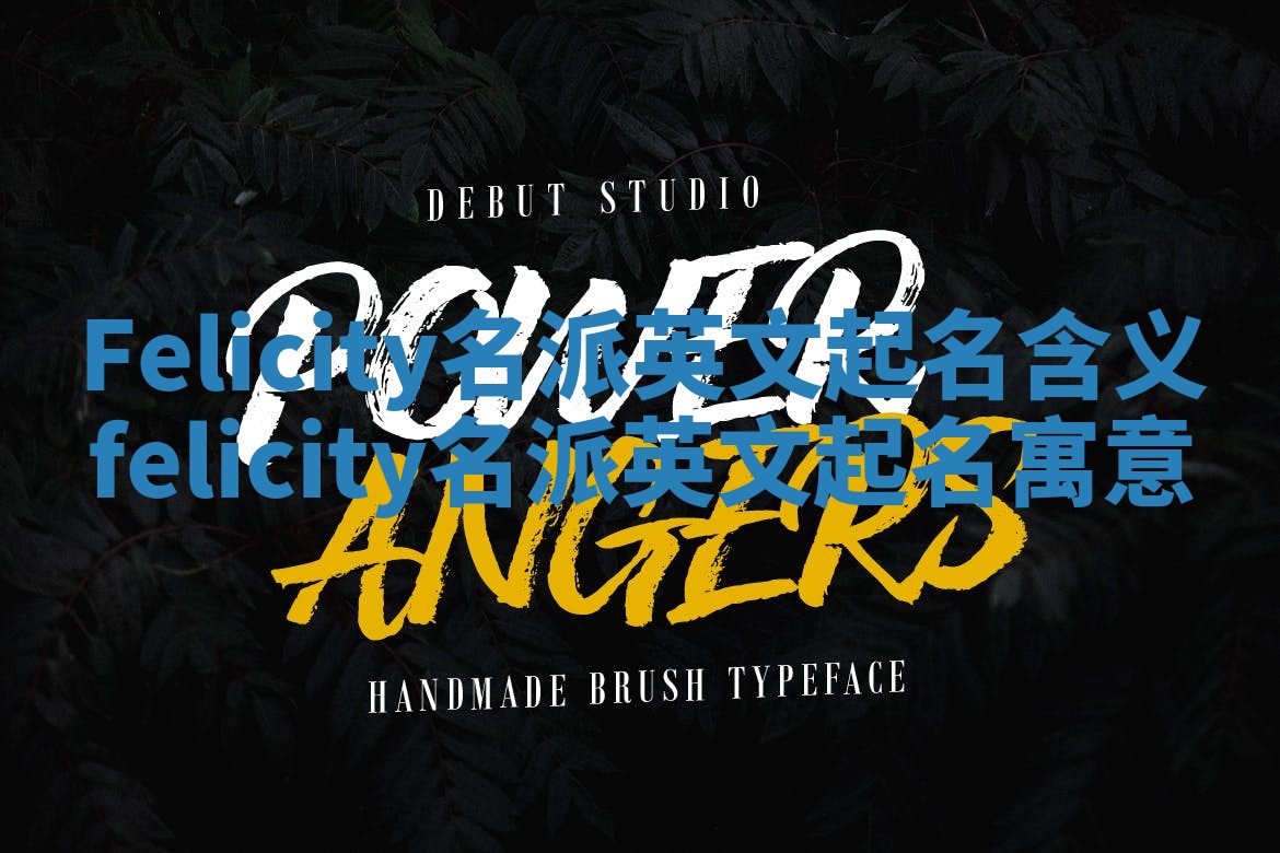Felicity名派英文起名含义_felicity名派英文起名寓意