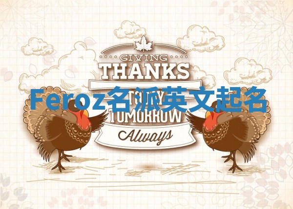 Feroz名派英文起名
