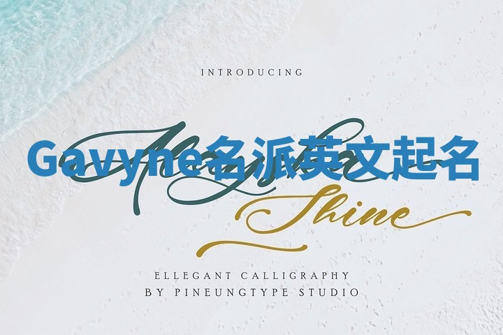 Gavyne名派英文起名