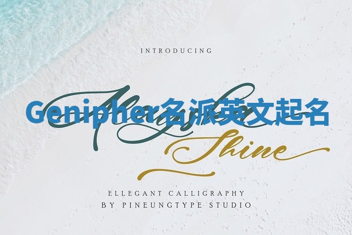 Genipher名派英文起名