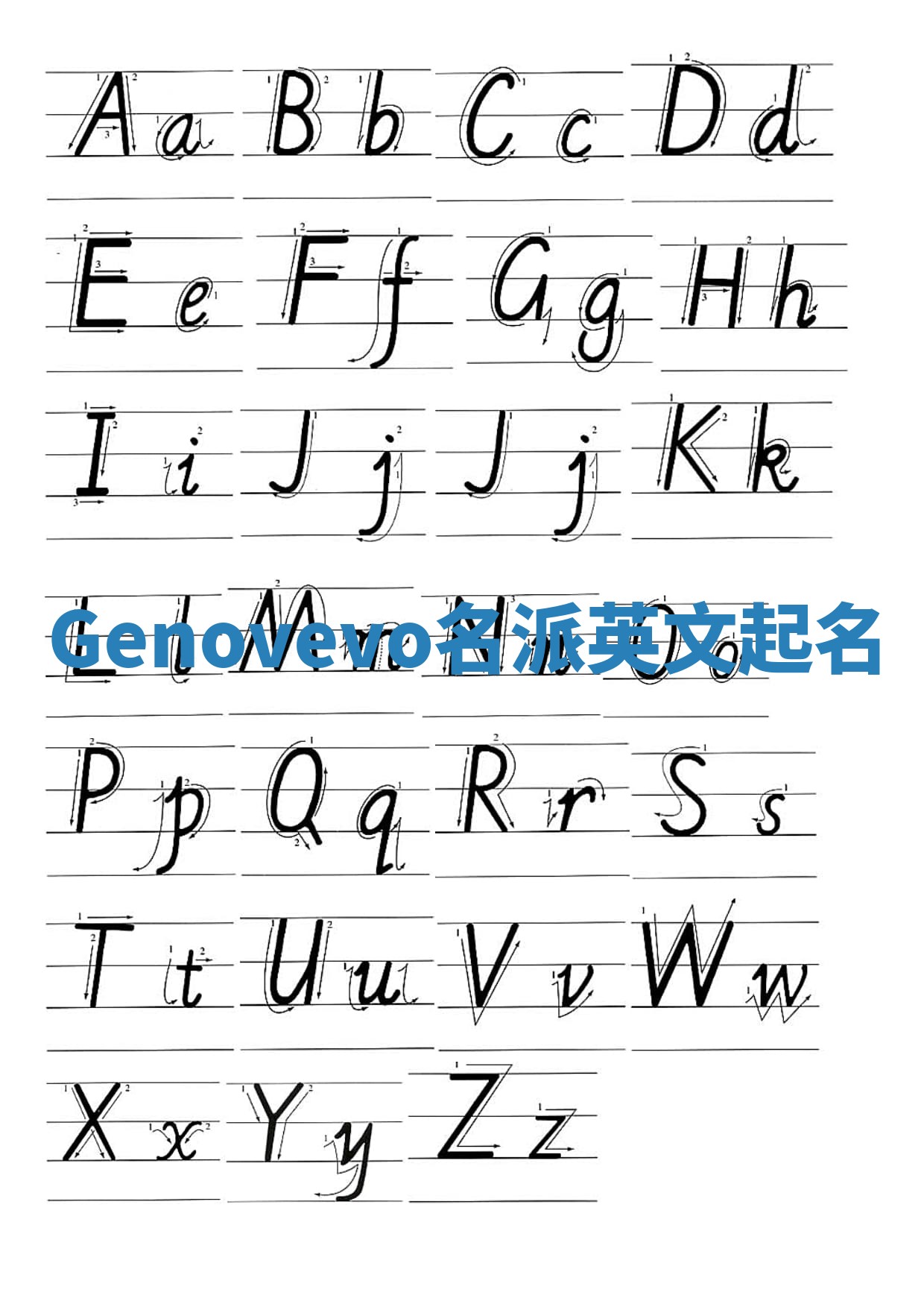 Genovevo名派英文起名