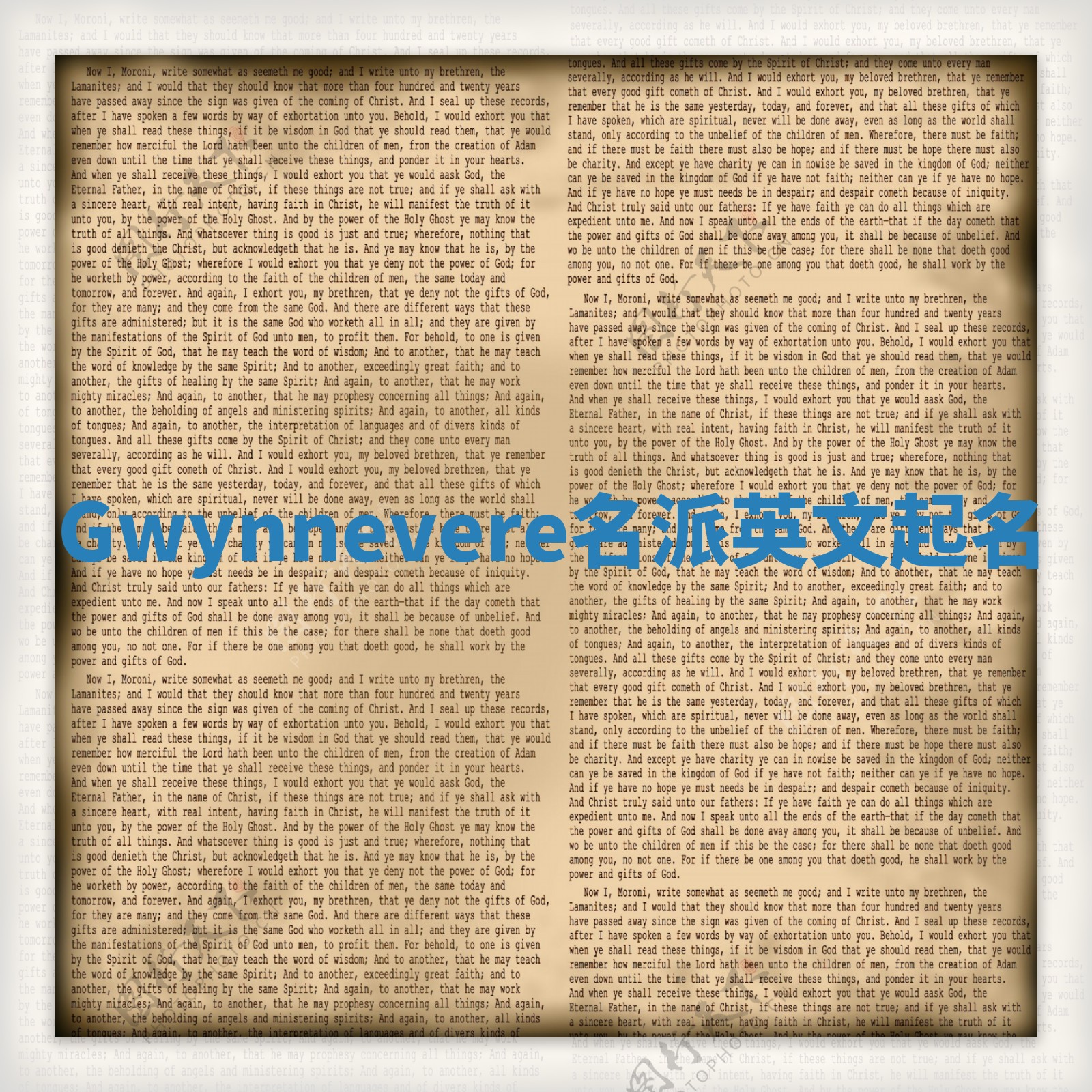 Gwynnevere名派英文起名