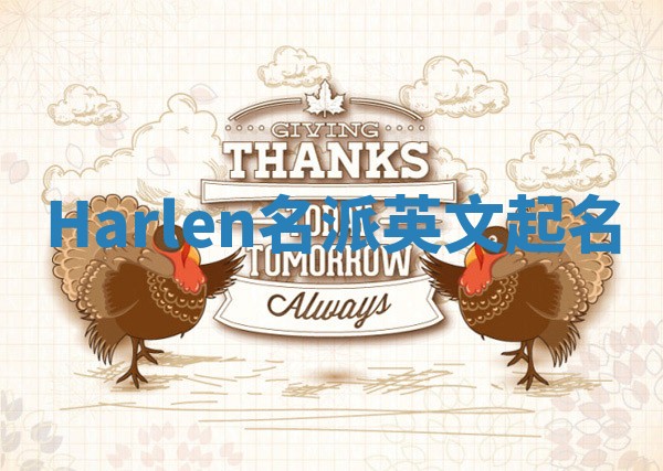 Harlen名派英文起名