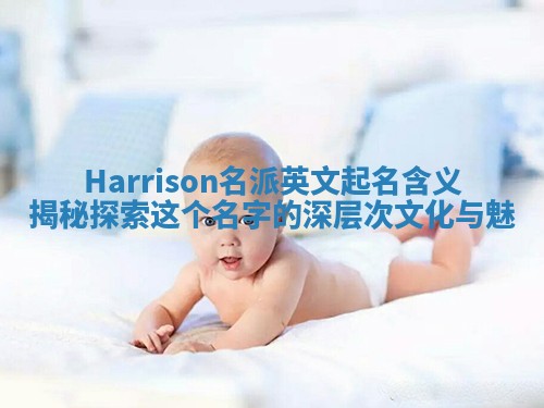 Harrison名派英文起名含义揭秘 探索这个名字的深层次文化与魅