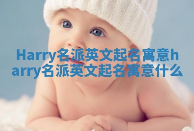 Harry名派英文起名寓意_harry名派英文起名寓意什么