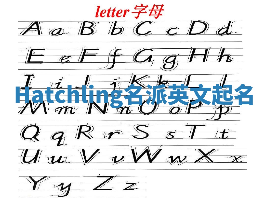 Hatchling名派英文起名