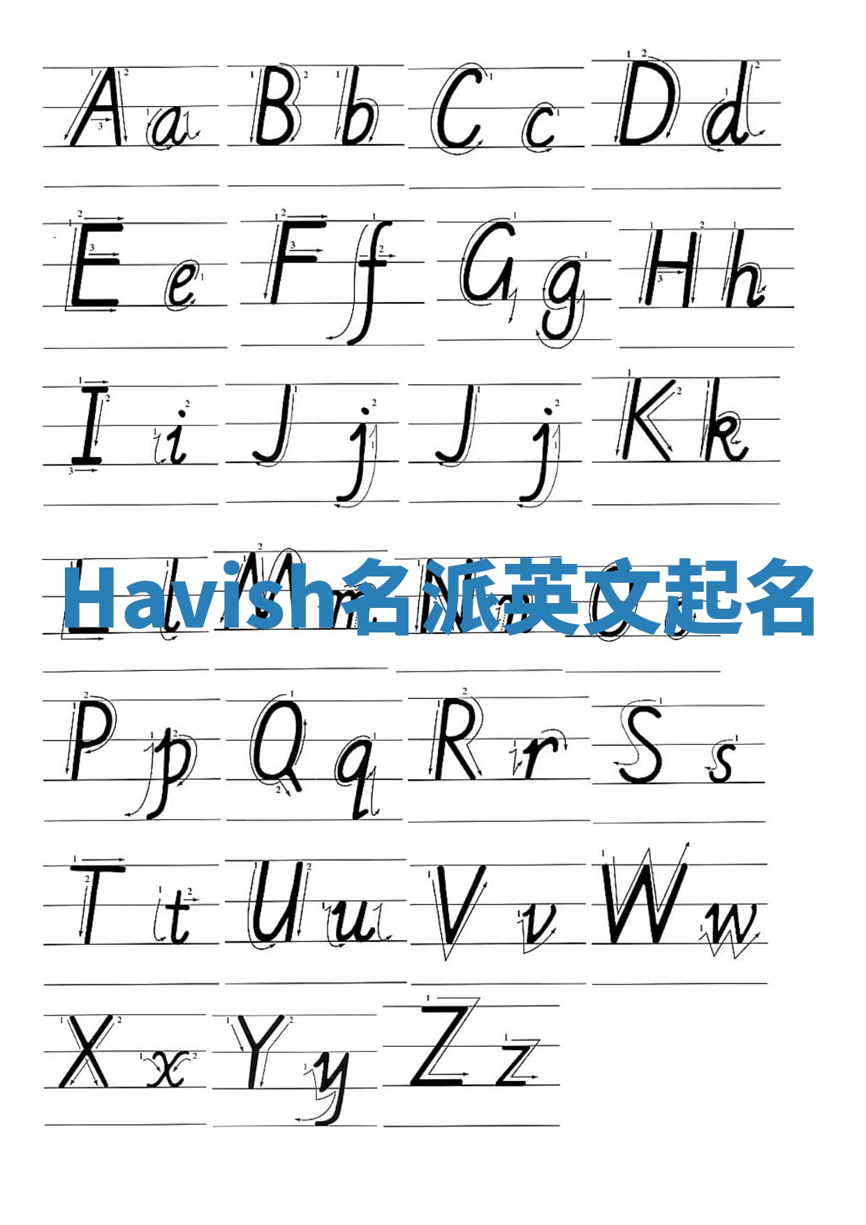 Havish名派英文起名