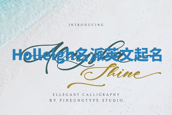 Holleigh名派英文起名