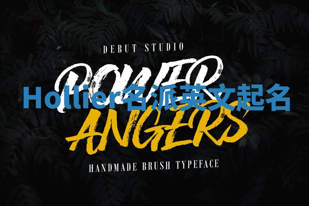 Hollier名派英文起名