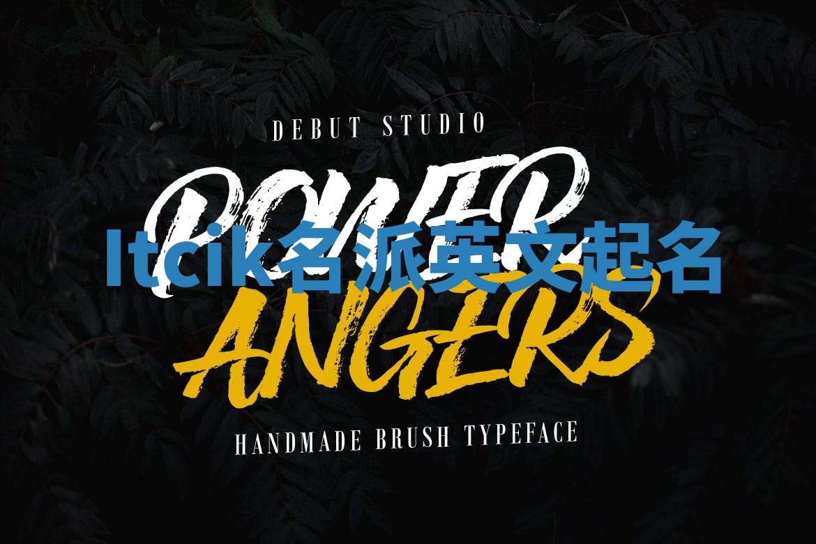 Itcik名派英文起名