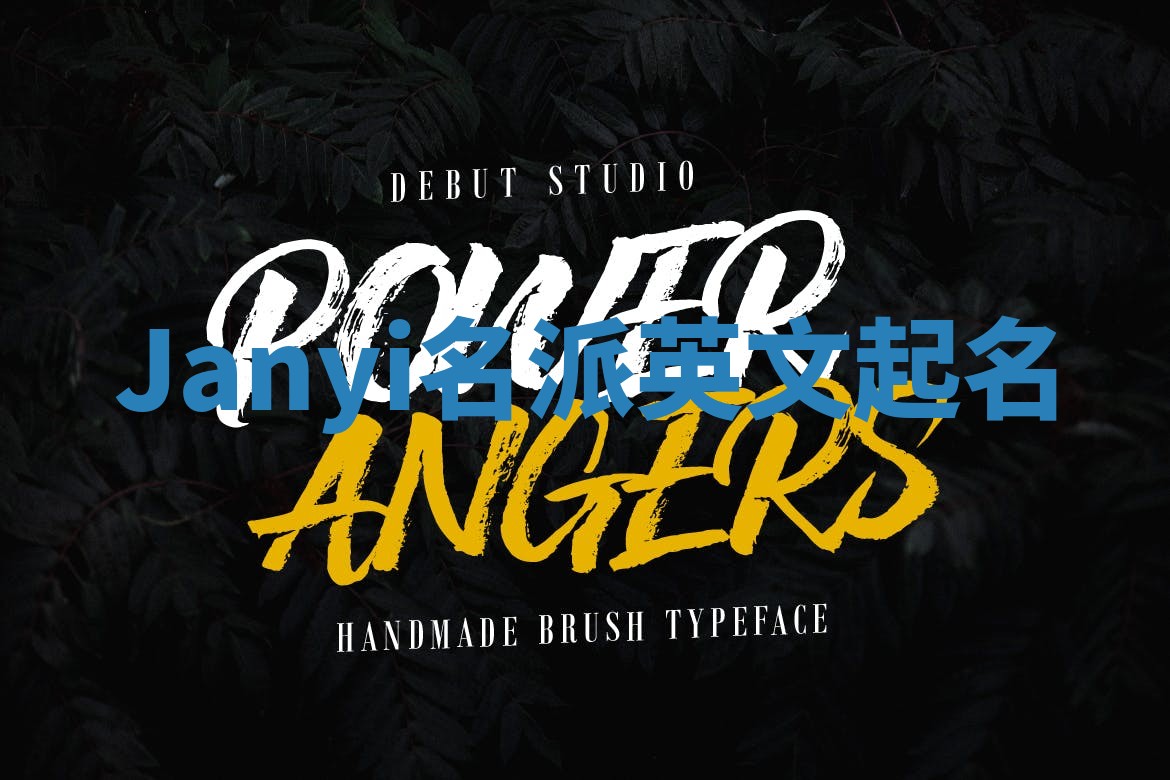 Janyi名派英文起名