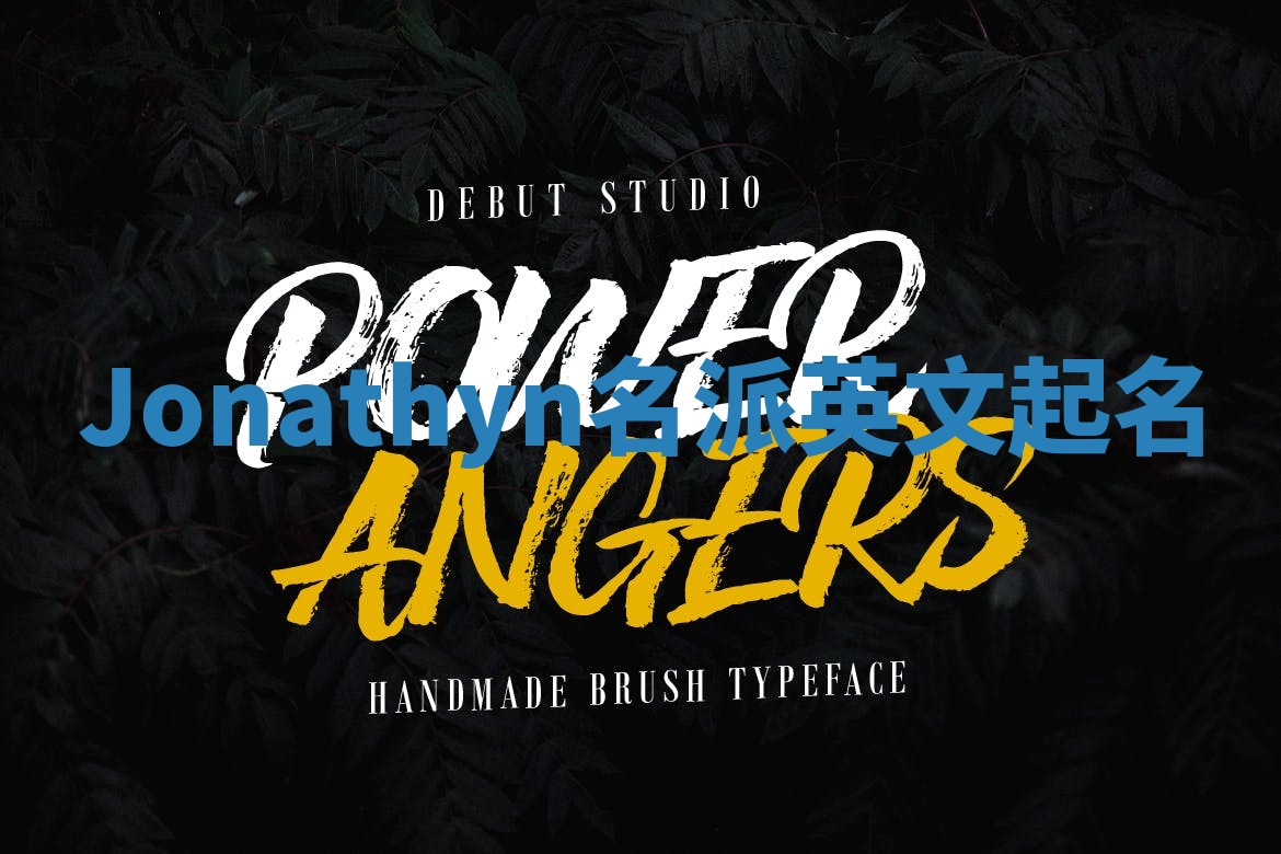 Jonathyn名派英文起名