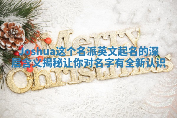 Joshua这个名派英文起名的深层含义揭秘让你对名字有全新认识
