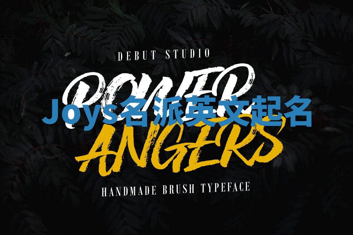 Joys名派英文起名