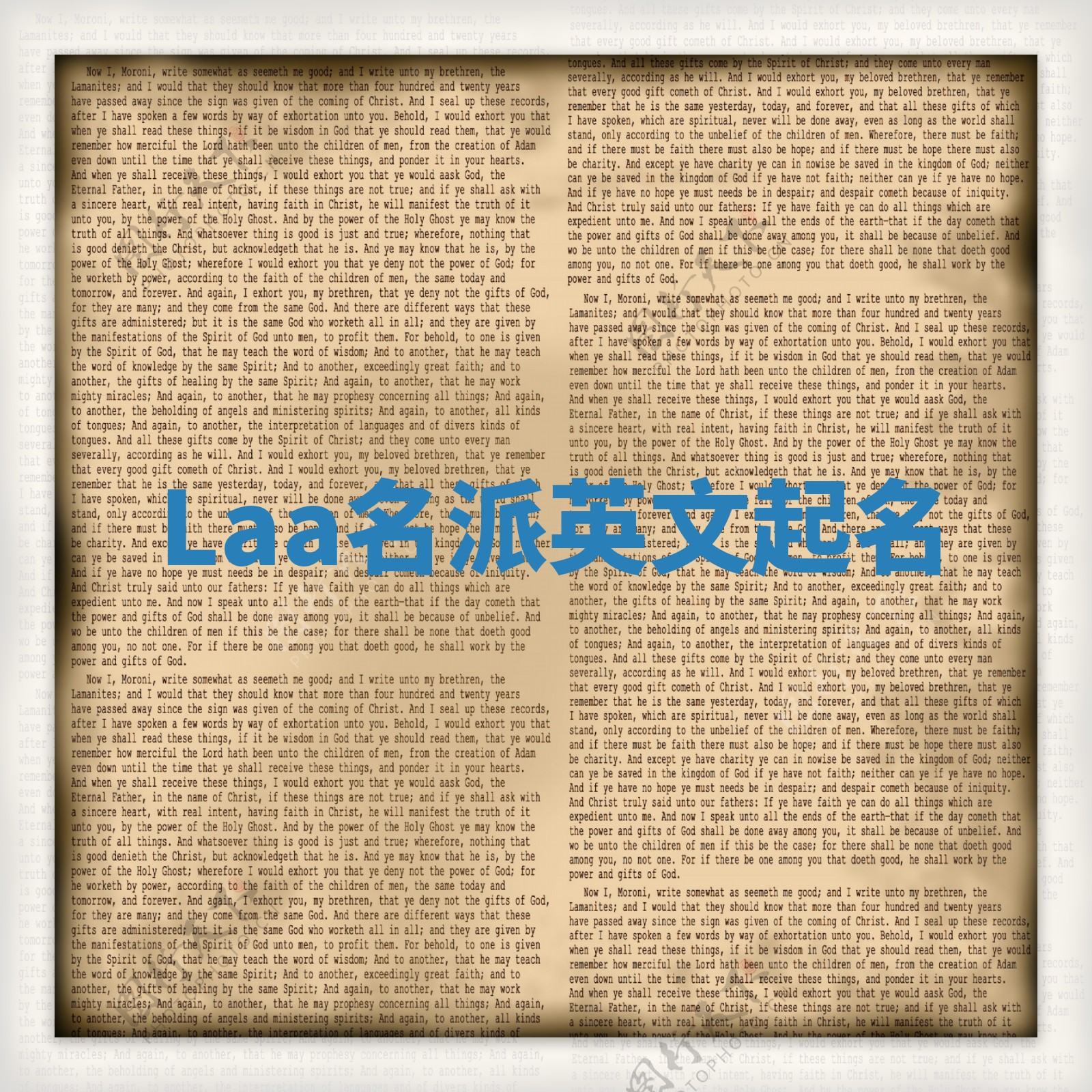 Laa名派英文起名