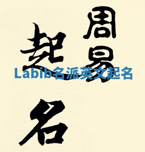 Labib名派英文起名 Labib名派英文起名