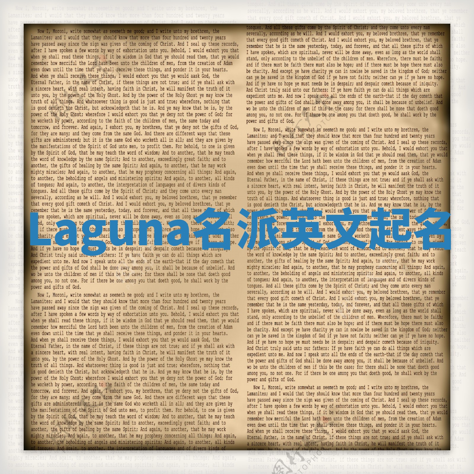 Laguna名派英文起名