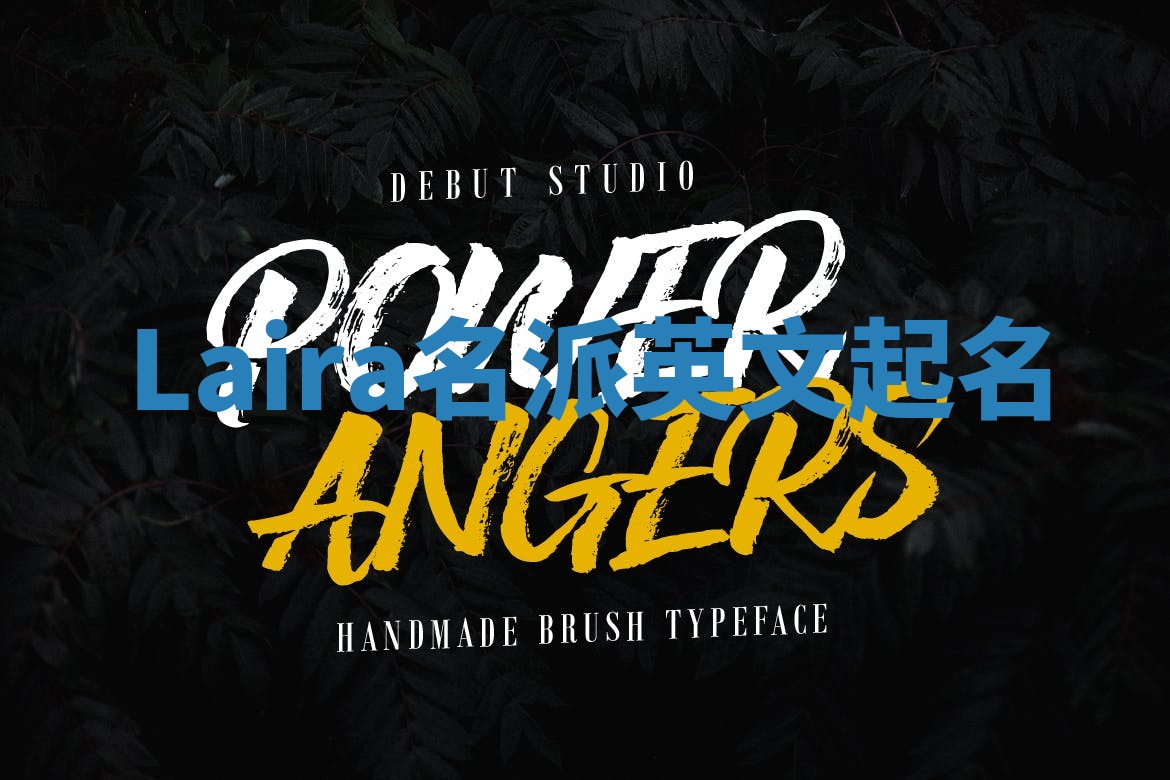 Laira名派英文起名