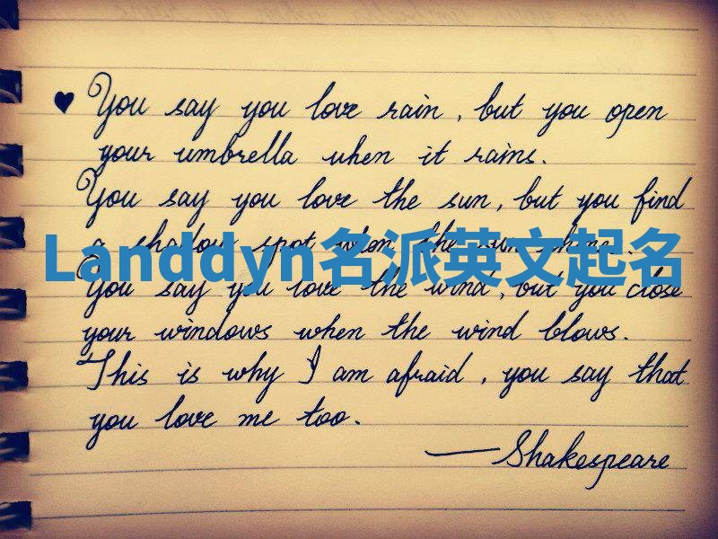 Landdyn名派英文起名