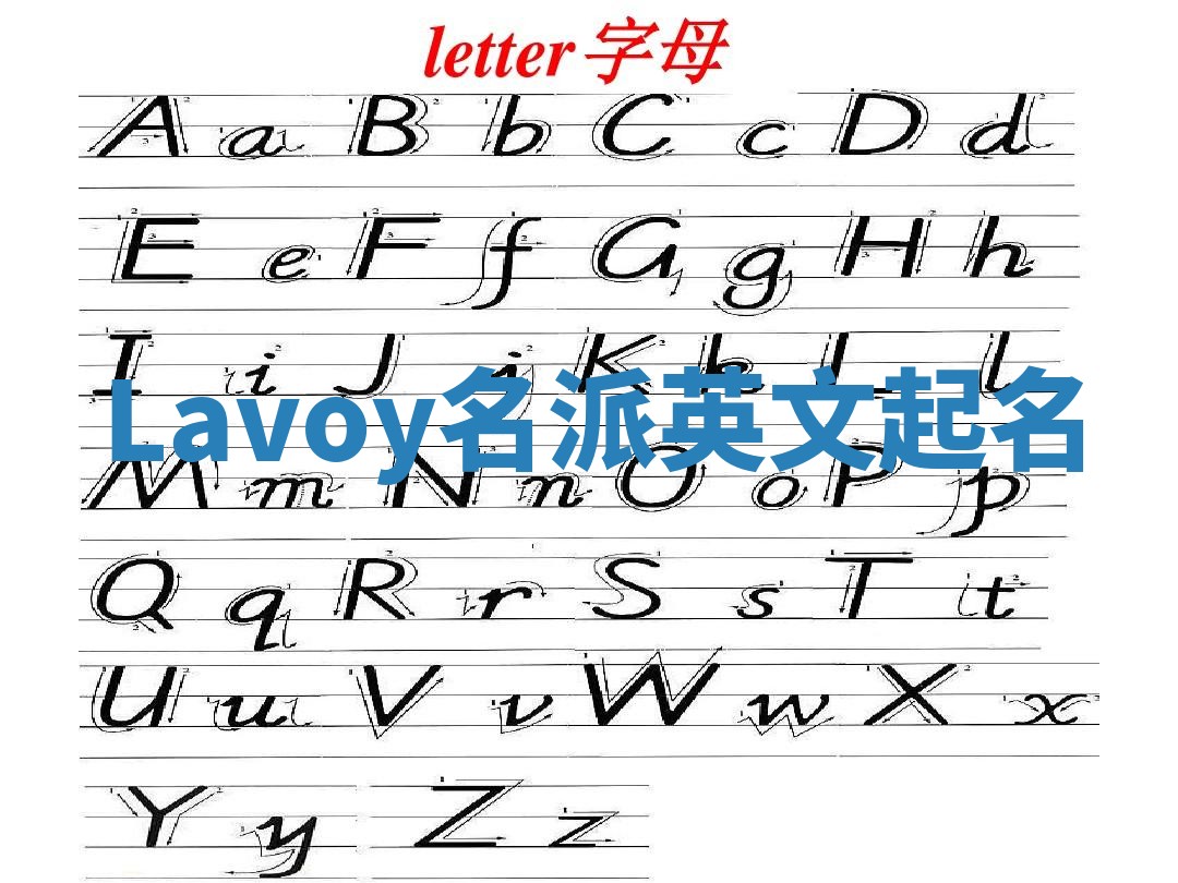 Lavoy名派英文起名