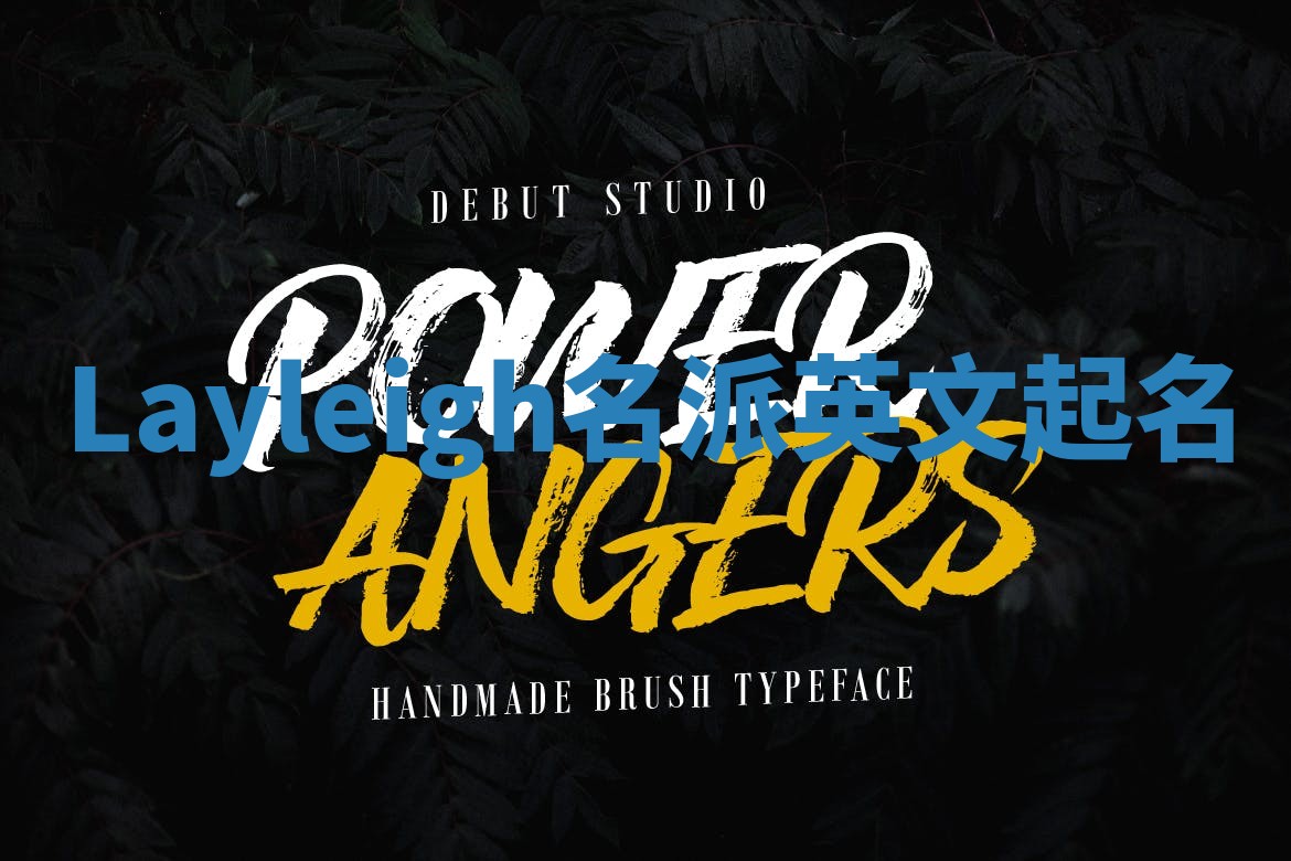 Layleigh名派英文起名