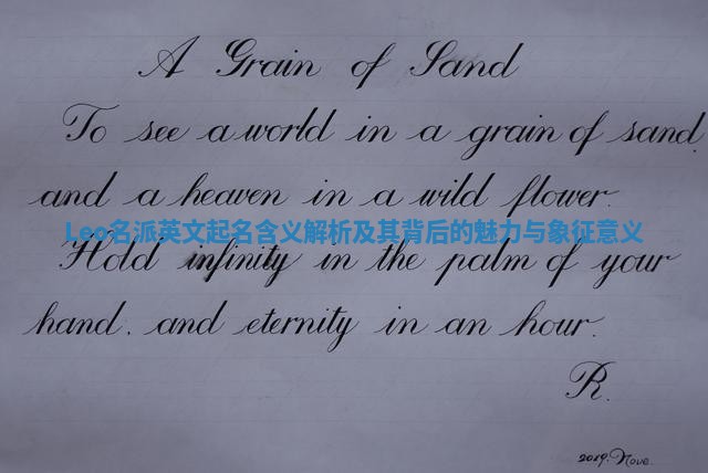 Leo名派英文起名含义解析及其背后的魅力与象征意义