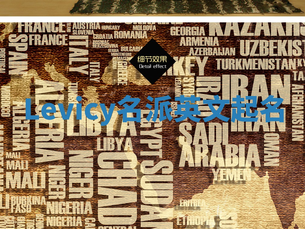 Levicy名派英文起名
