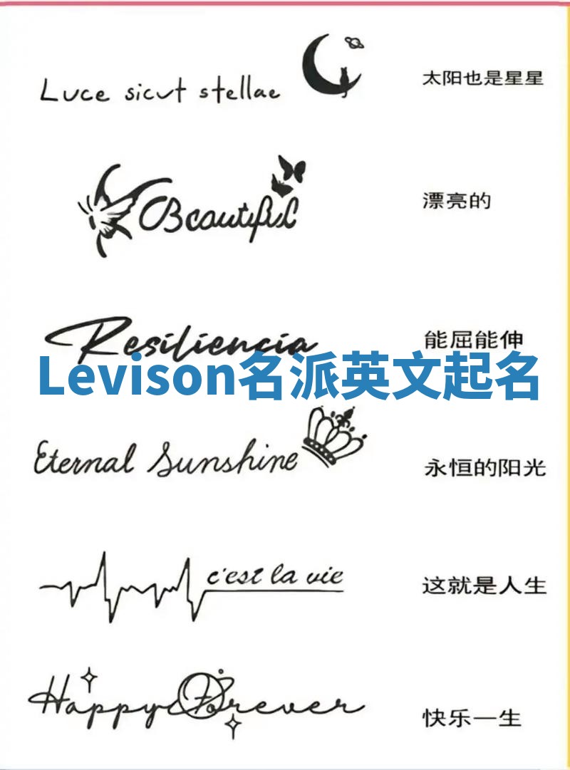 Levison名派英文起名