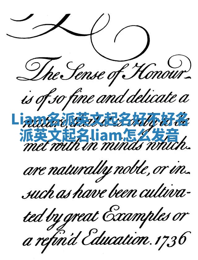 Liam名派英文起名好不好 名派英文起名liam怎么发音