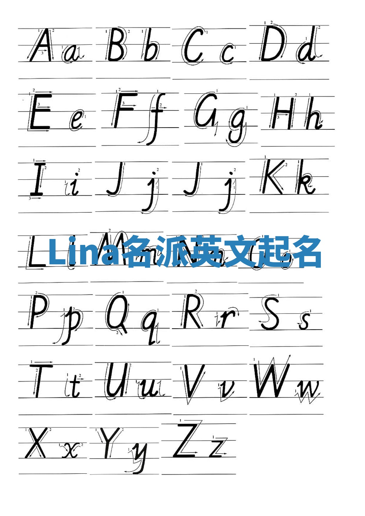 Lina名派英文起名