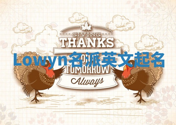 Lowyn名派英文起名