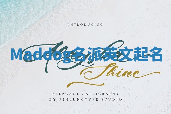 Maddog名派英文起名