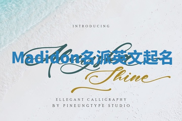 Madidon名派英文起名