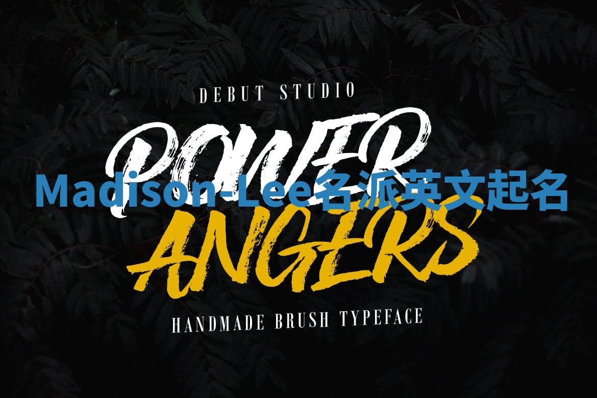 Madison-Lee名派英文起名