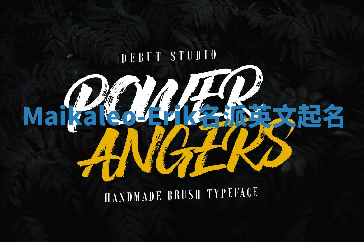 Maikaleo-Erik名派英文起名 Maikaleo-Erik名派英文起名