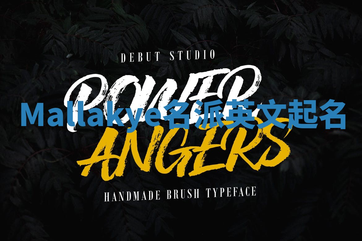 Mallakye名派英文起名