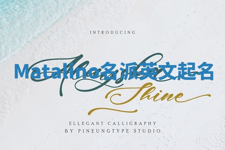 Matalino名派英文起名