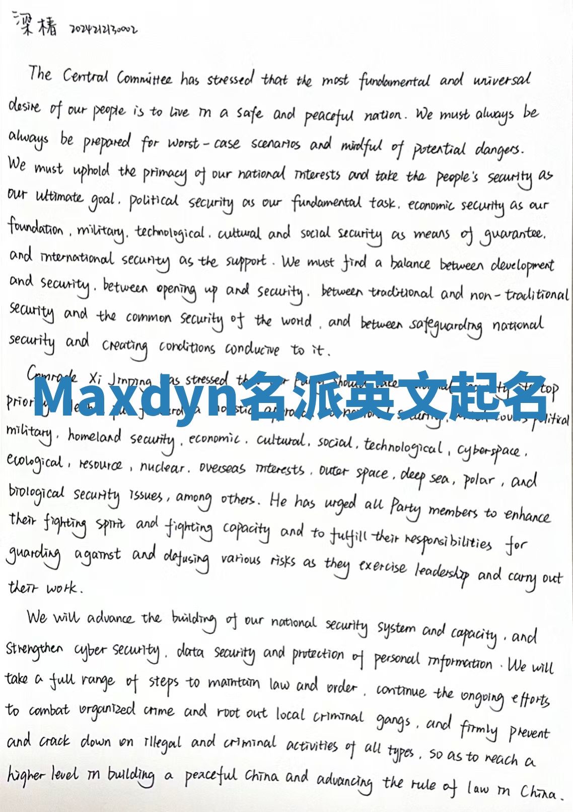 Maxdyn名派英文起名