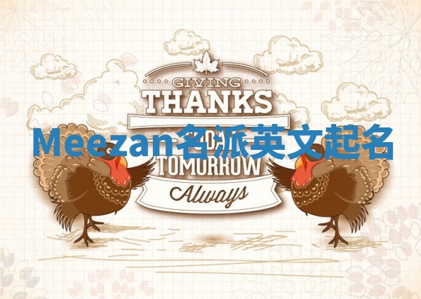 Meezan名派英文起名