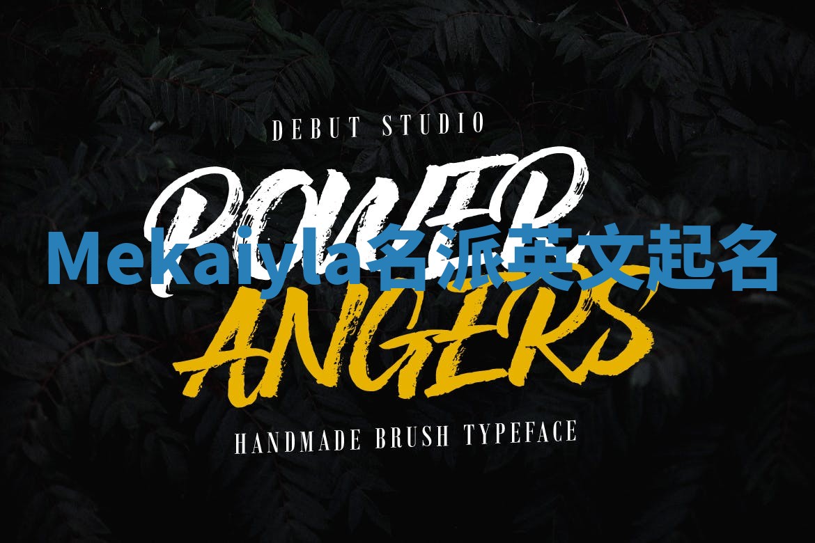 Mekaiyla名派英文起名