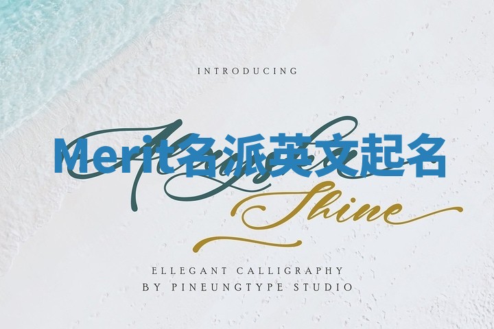 Merit名派英文起名