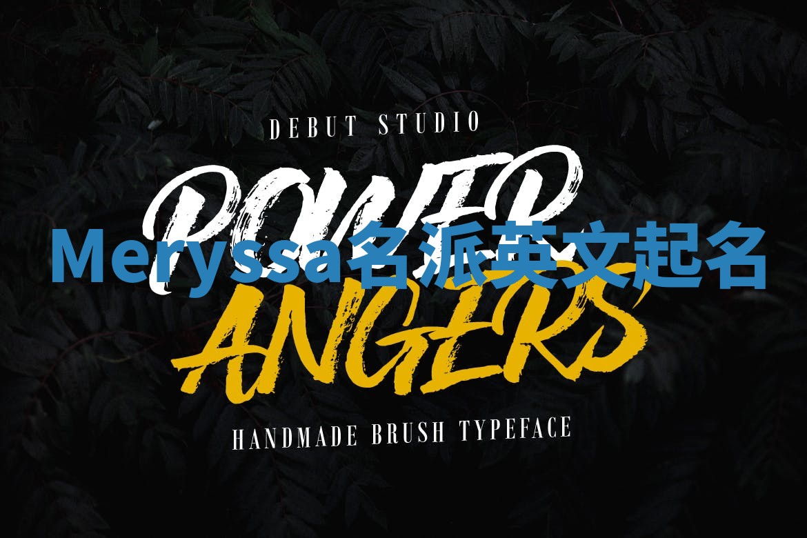 Meryssa名派英文起名