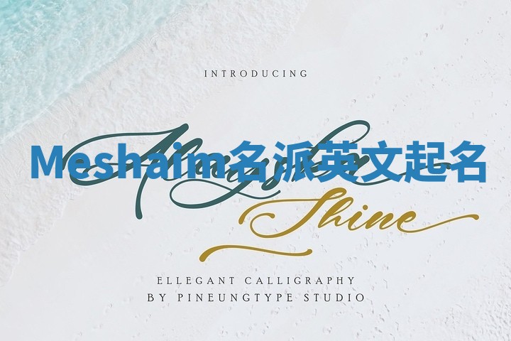 Meshaim名派英文起名