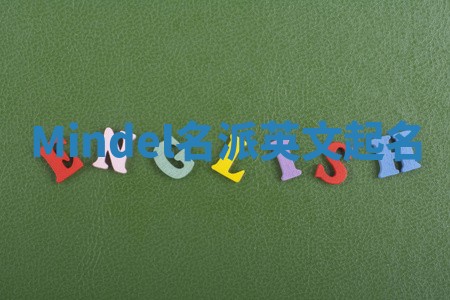 Mindel名派英文起名