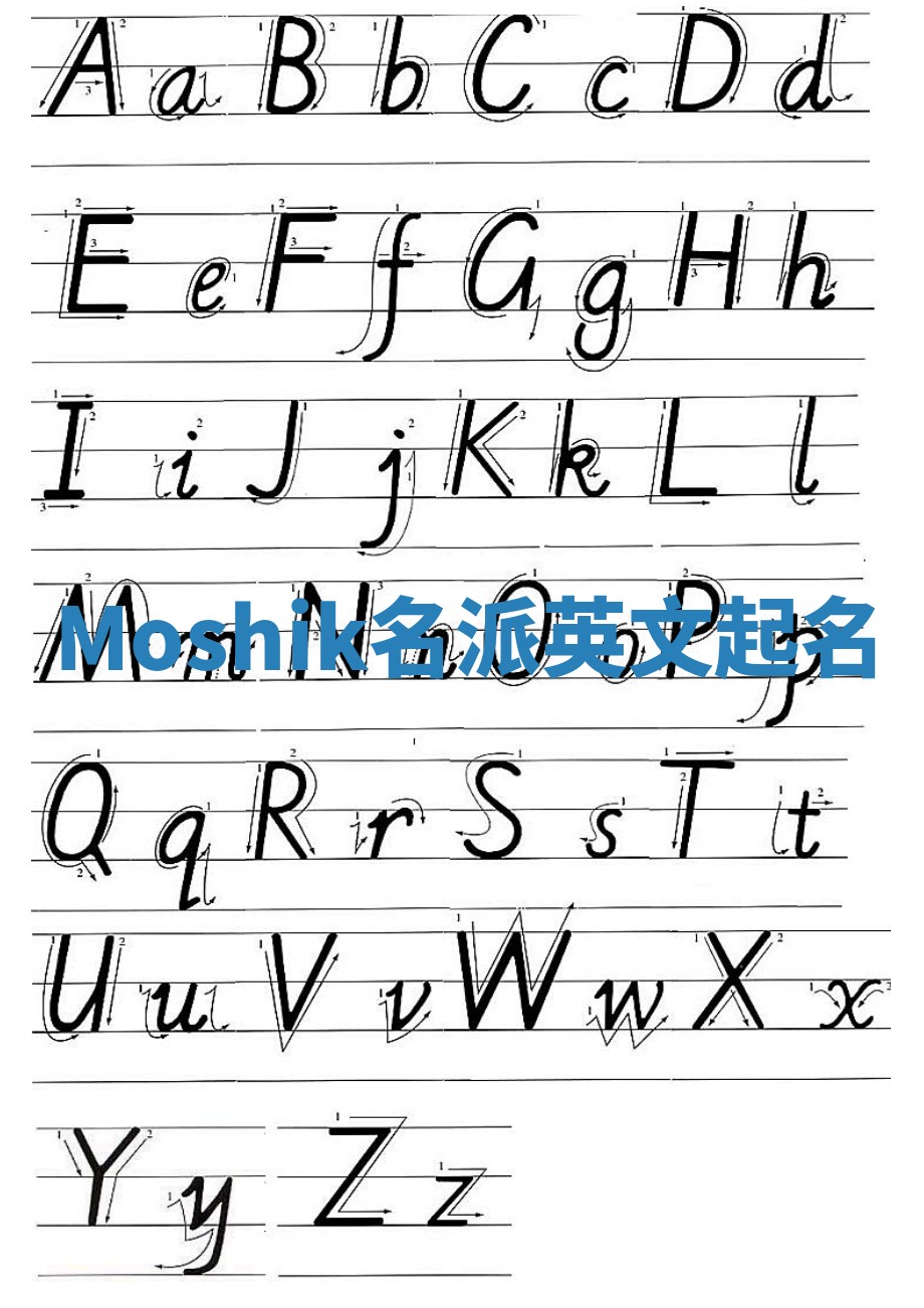 Moshik名派英文起名