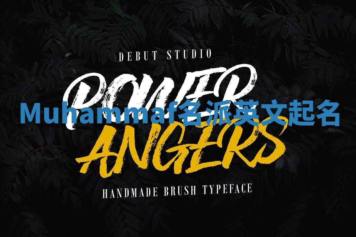 Muhammaf名派英文起名