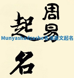 Munyashadzashe名派英文起名