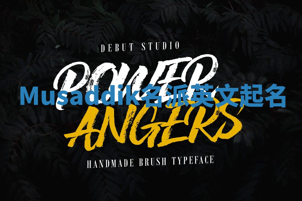 Musaddik名派英文起名