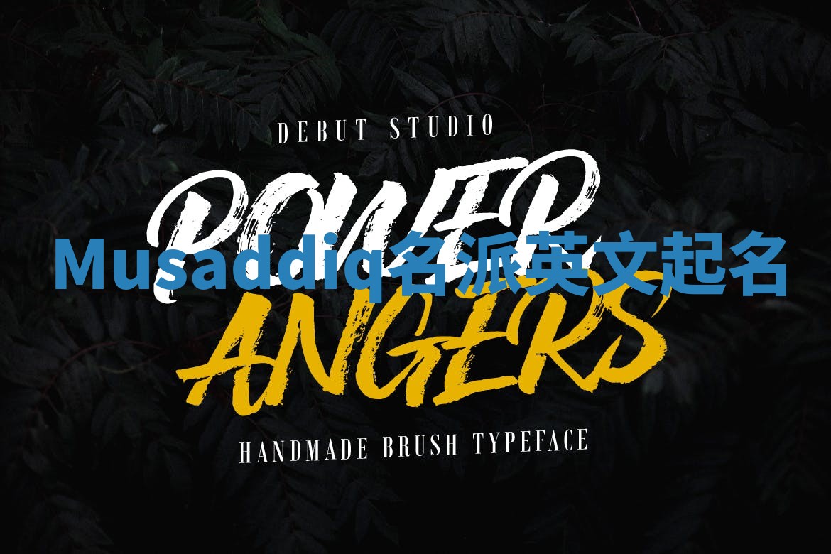 Musaddiq名派英文起名