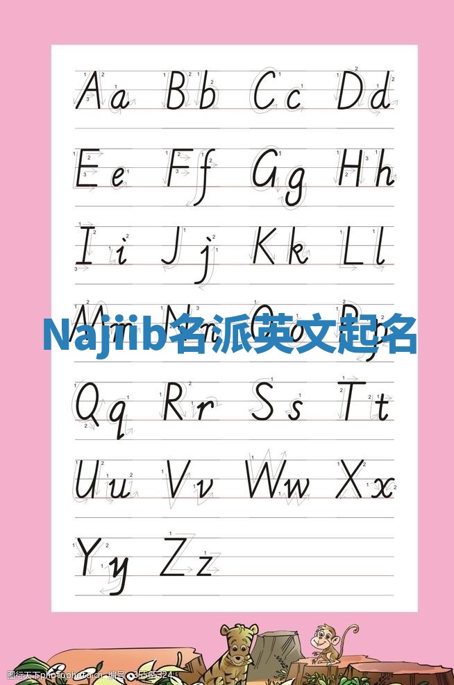 Najiib名派英文起名